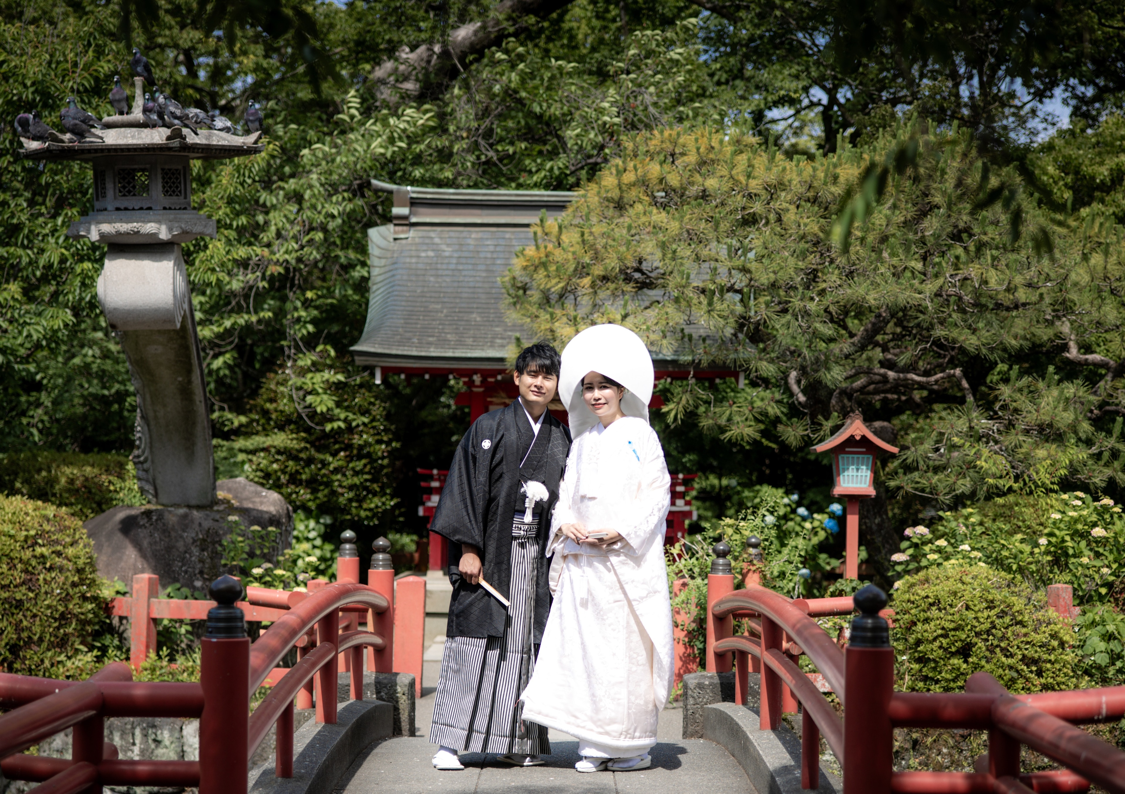 三島大社の赤橋に立つ白無垢の新郎新婦